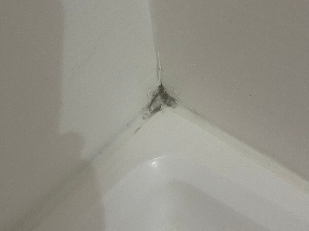 Homewood Suites by Hilton Tyler主图