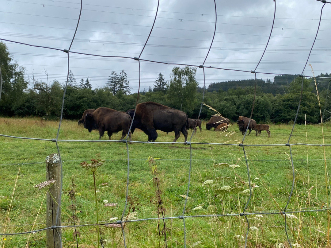 Tierpark Rheinböllen-Rheinbollen必去景点