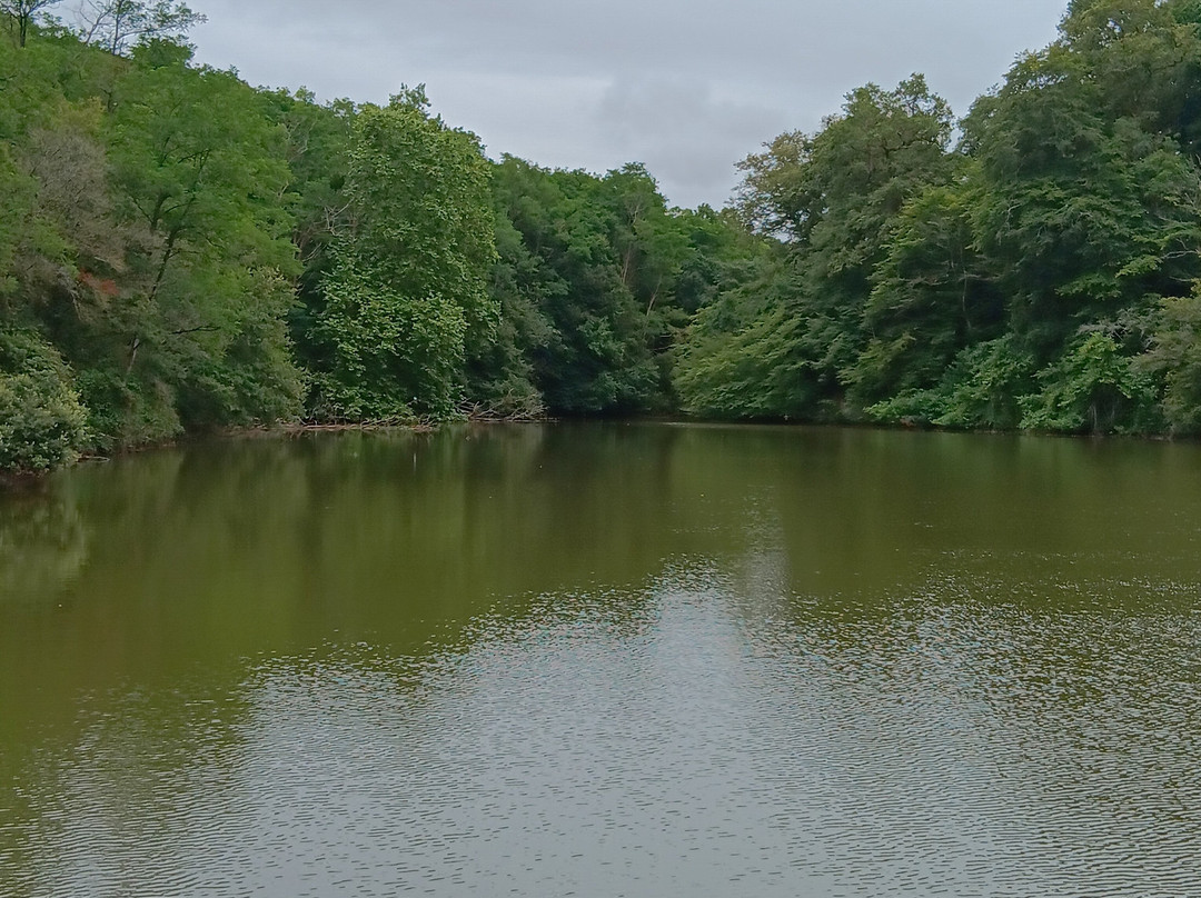 Le Lac Du Jaunay景点图片