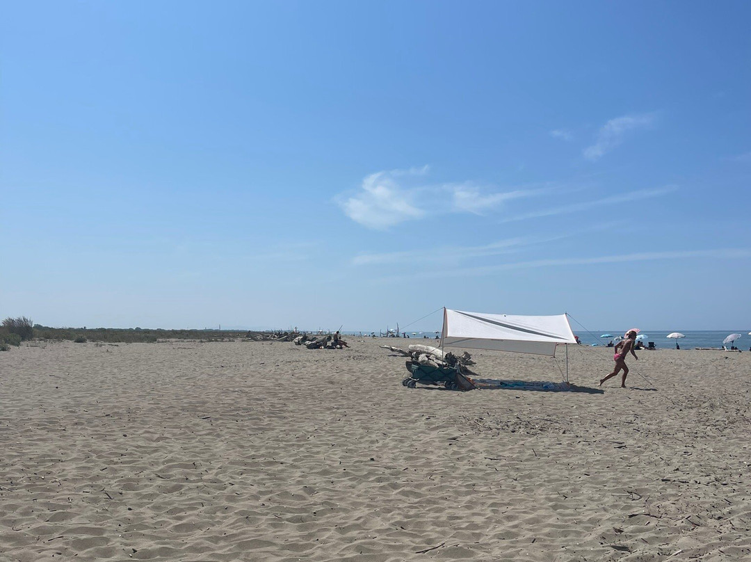 Spiaggia Della Lecciona景点图片