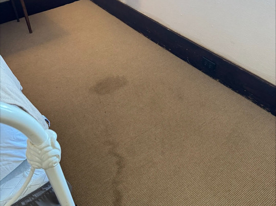 The Hotel Limpia主图