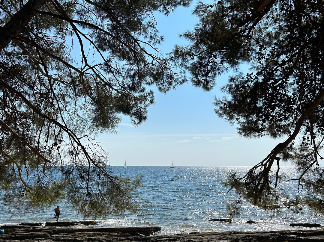 Campsite Savudrija