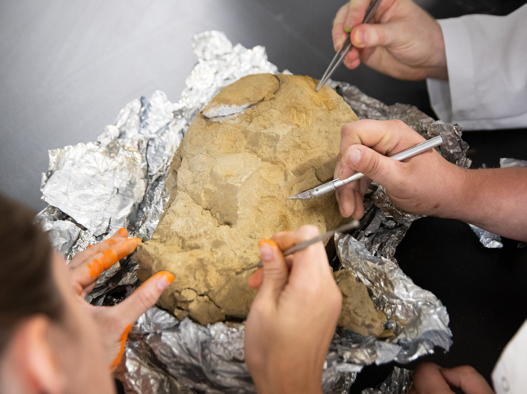 Indiana Dinosaur Museum