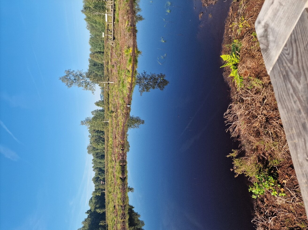 The educational Peat Route-Les Ponts-de-Martel必去景点