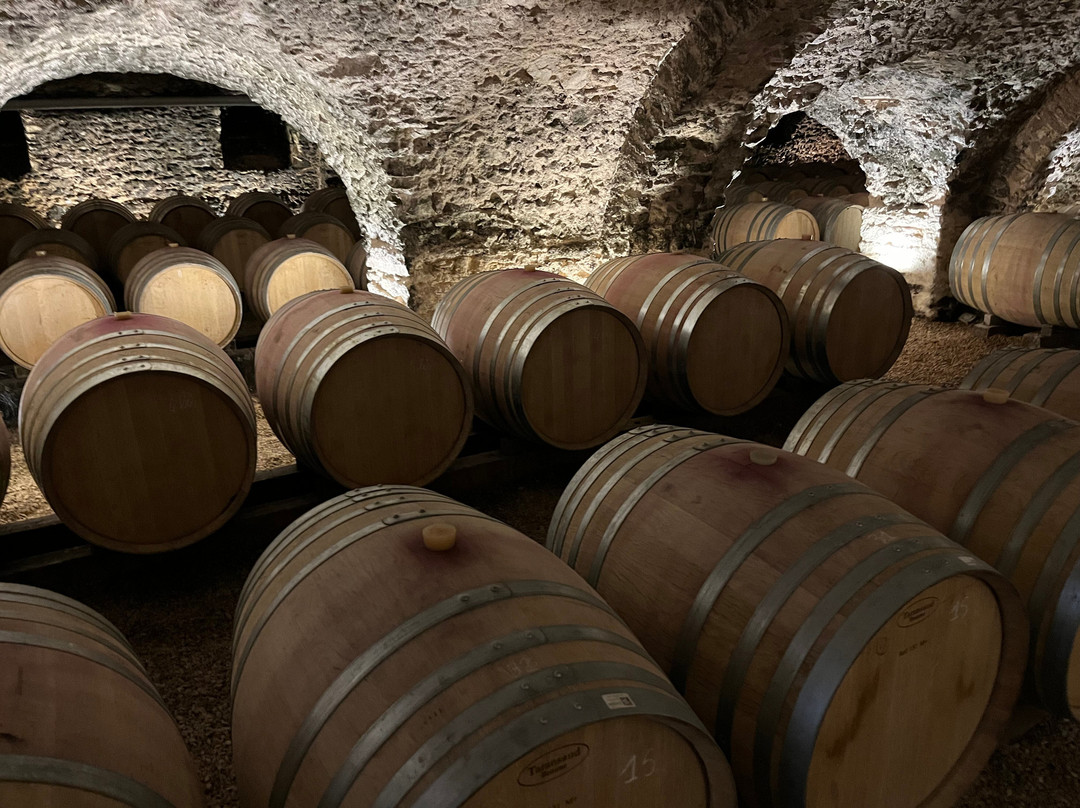 Château du Moulin-à-Vent-Romaneche-Thorins必去景点