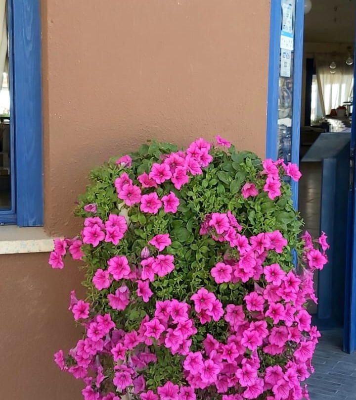 Mediterraneo R.T.A.主图
