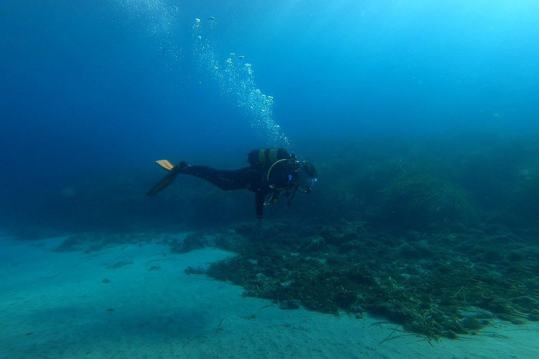 Sea & Sun Diving Center景点图片