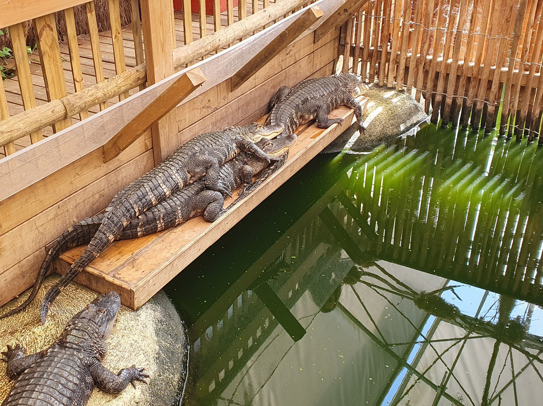 Aquarium du Perigord Noir景点图片