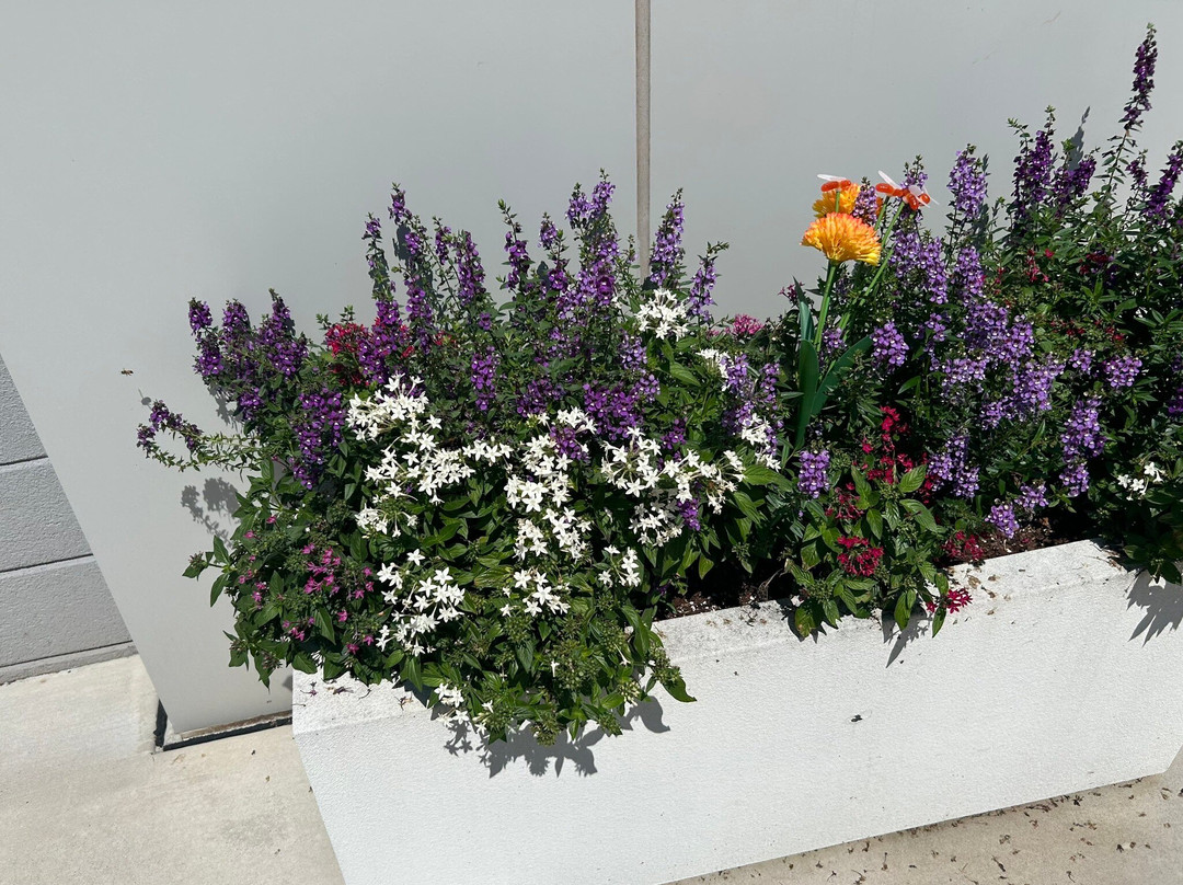 Ac Hotel Durham主图