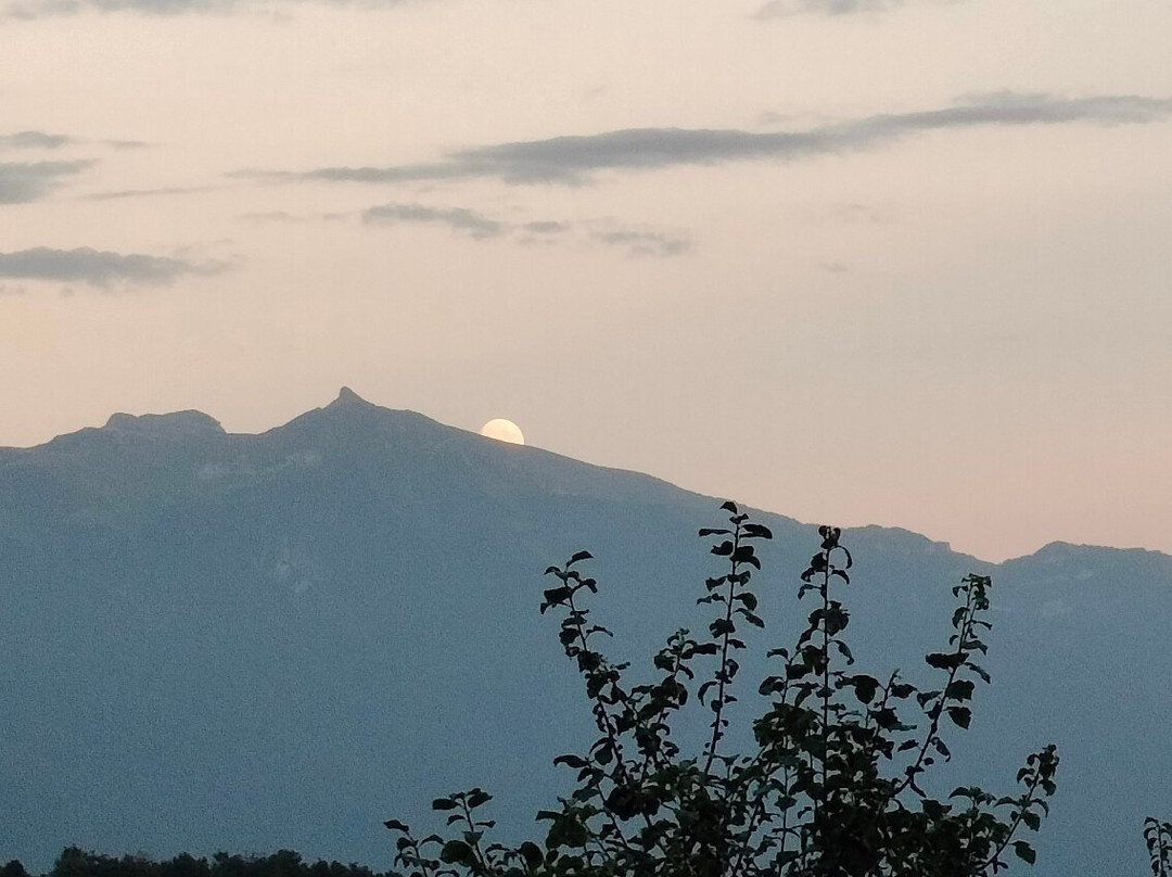 Azienda Agricola & Agriturismo Il Ritorno景点图片
