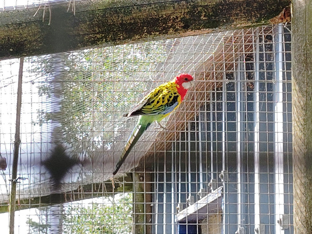 La Pommeraie-Peumerit必去景点