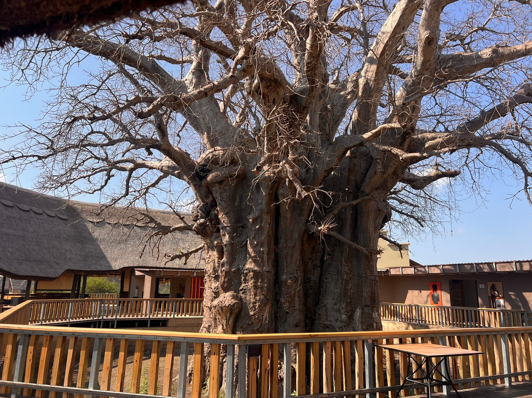 Sali Safaris-阿鲁沙必去景点