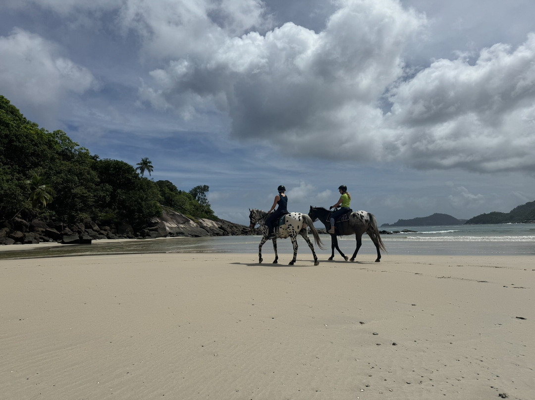 Turquoise Horse Trails-马埃岛必去景点