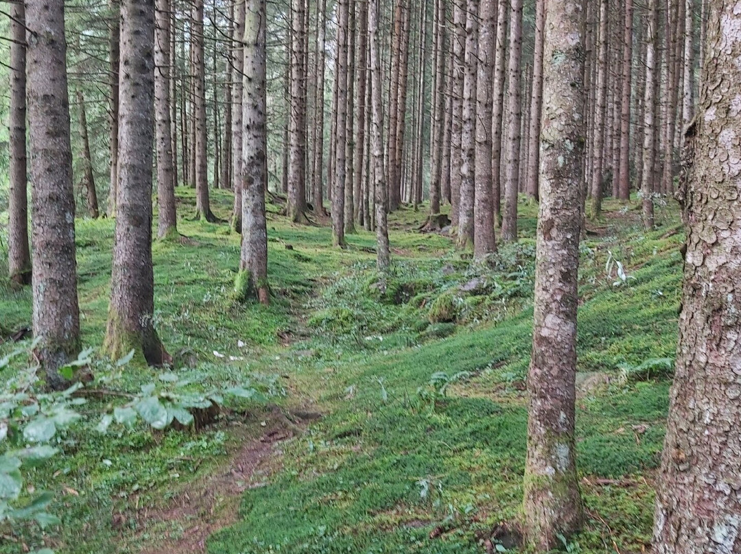 Cascata del Vo-Schilpario必去景点