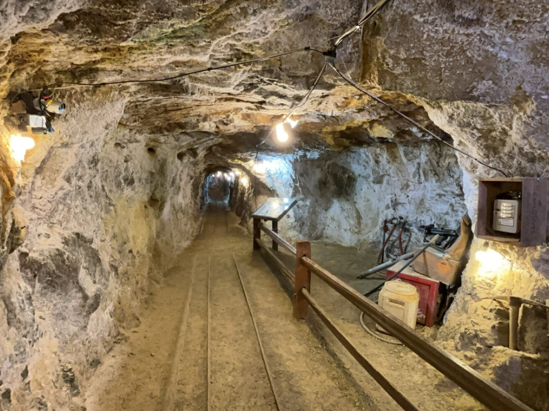 Mollie Kathleen Gold Mine-克里普尔溪必去景点