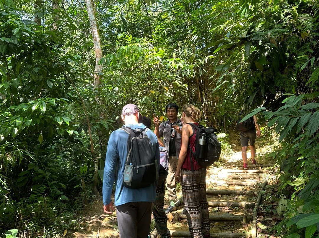 Bukit Lawang Travel-武吉拉旺必去景点