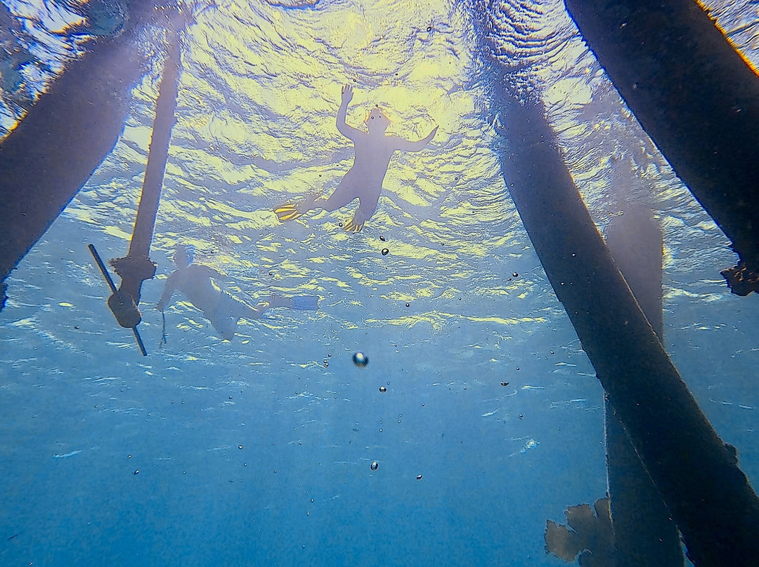 Amazing Bonaire-Hato必去景点