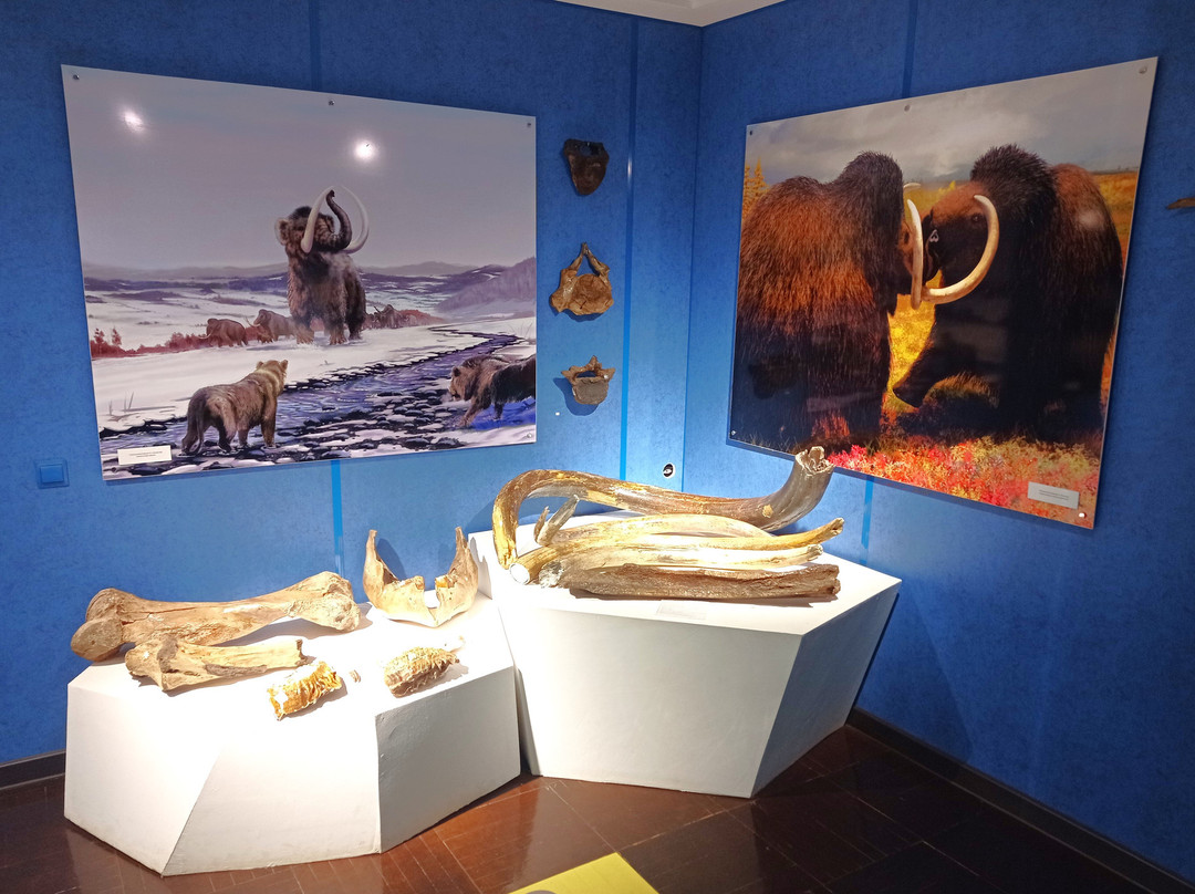 Ukhta Museum of Local History景点图片