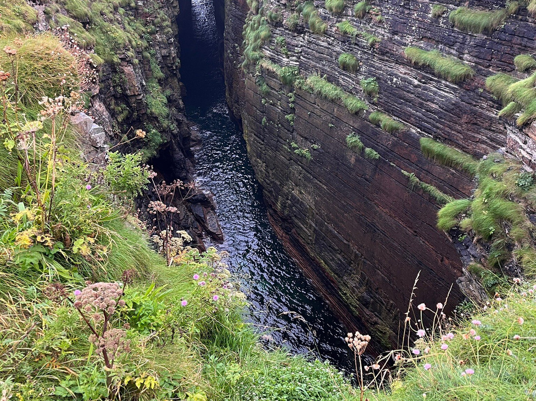 Mull Head Nature Reserve-Deerness必去景点
