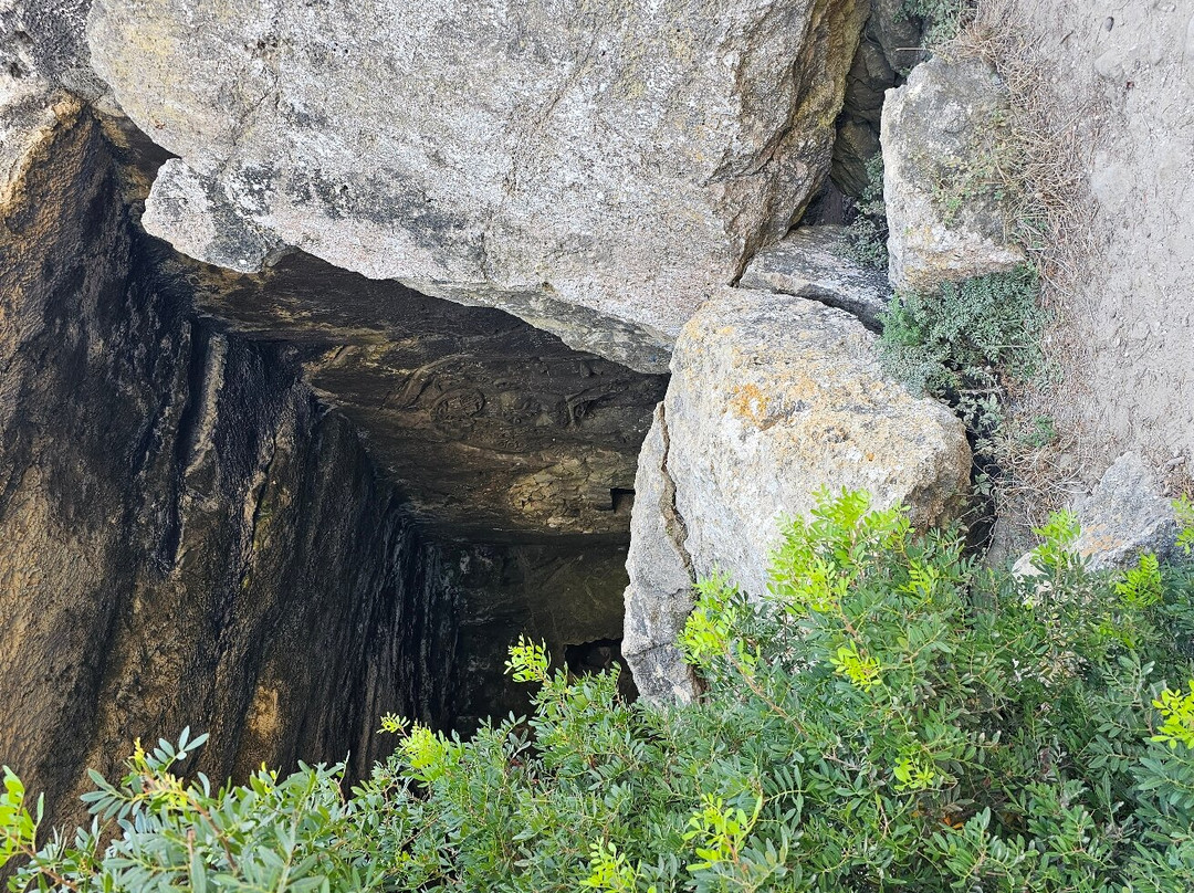 Playa Portals Vells-卡尔维亚必去景点