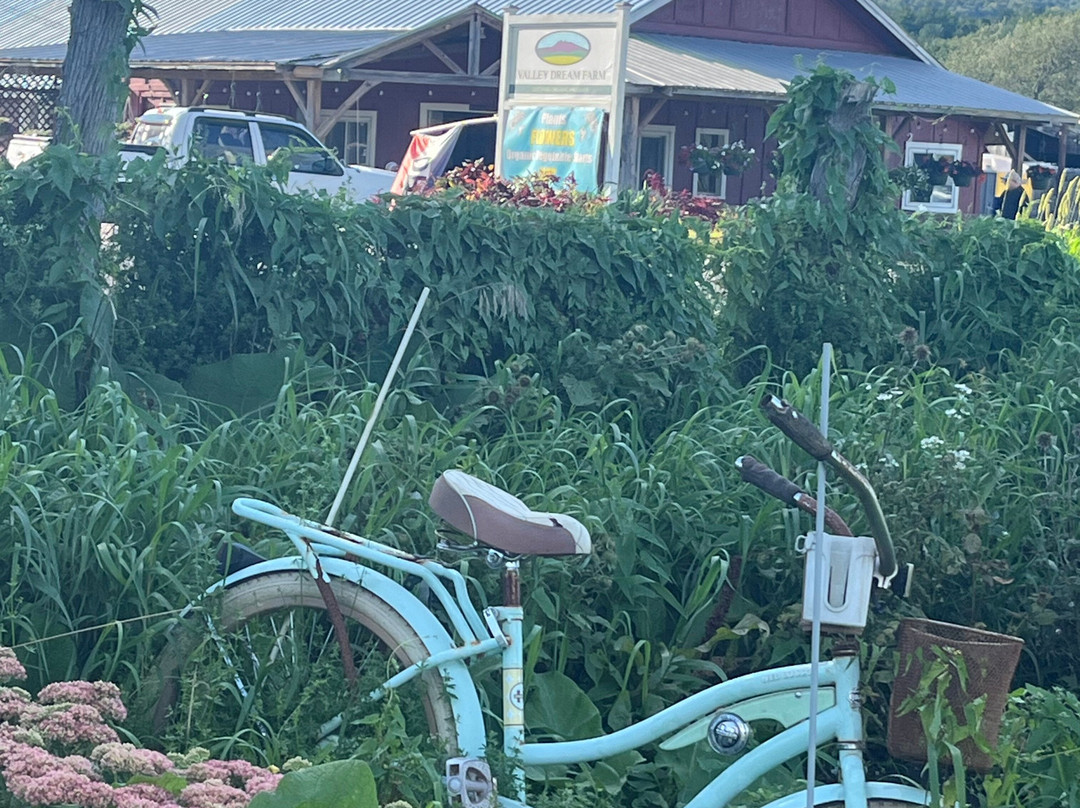 Valley Dream Farm-Cambridge必去景点