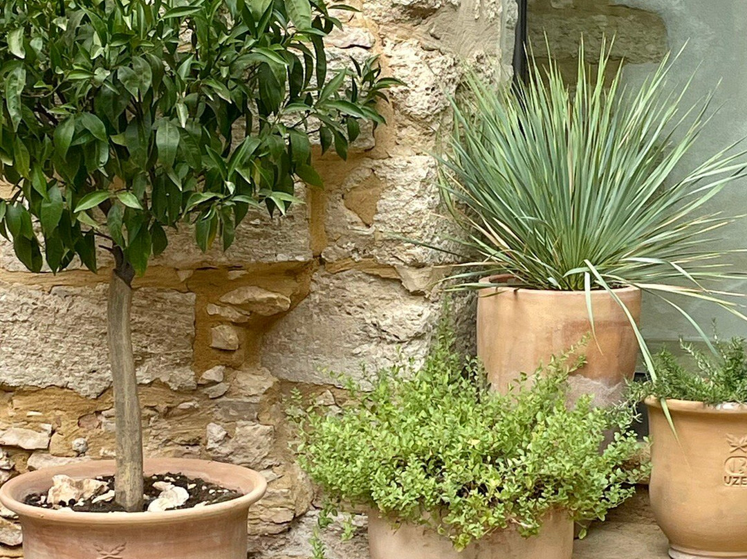 Villa Fauve Maison d'Hôtes主图