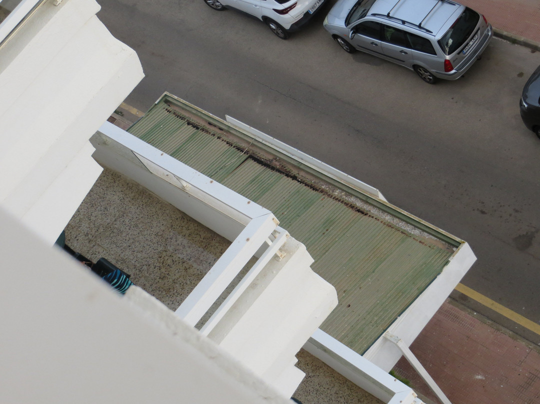 BelleVue Belsana主图