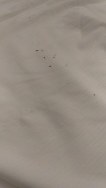 Hotel la Sosta-客卧