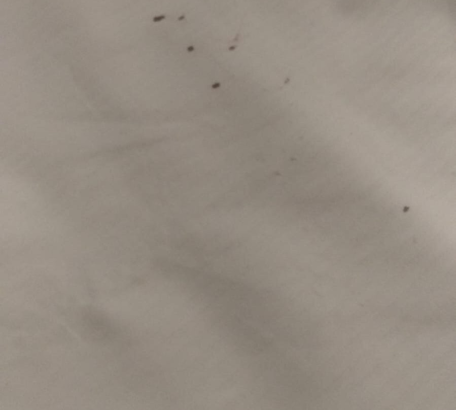 Hotel La Sosta主图