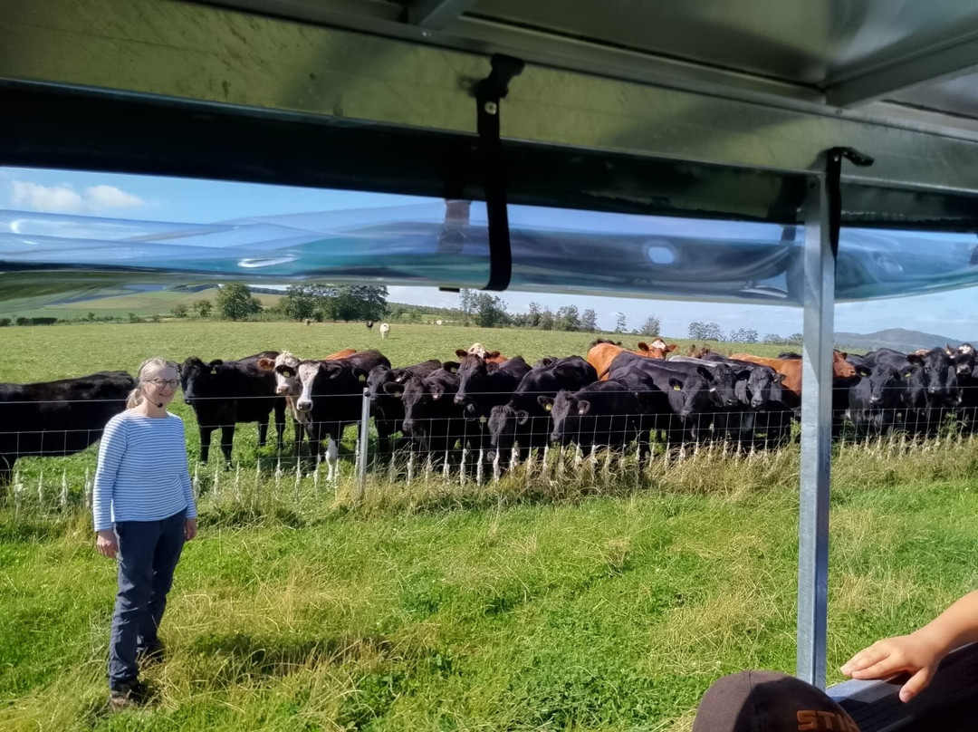 Bairnkine Farm Tours-Jedburgh必去景点