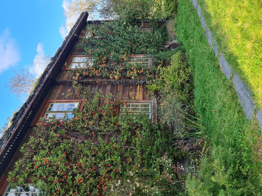 Saga Trollheimen Hotel AS主图