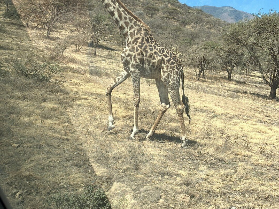 Halisi African Adventures-Dar es Salaam必去景点