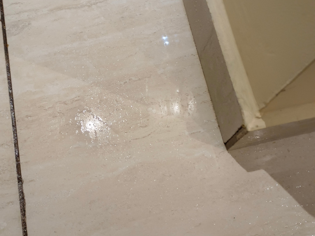 Deventure Hotel Karnal主图