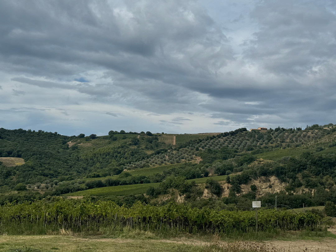 Podere Le Ripi-蒙塔尔奇诺必去景点