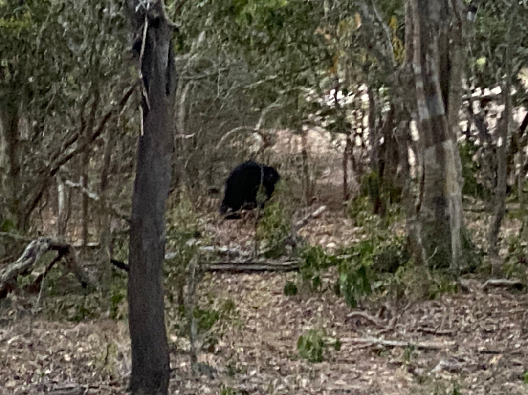 Safari Panama Sri Lanka-Panama必去景点