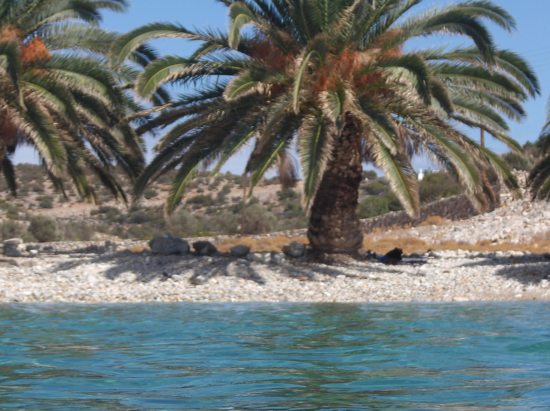 Paralia Panormos景点图片