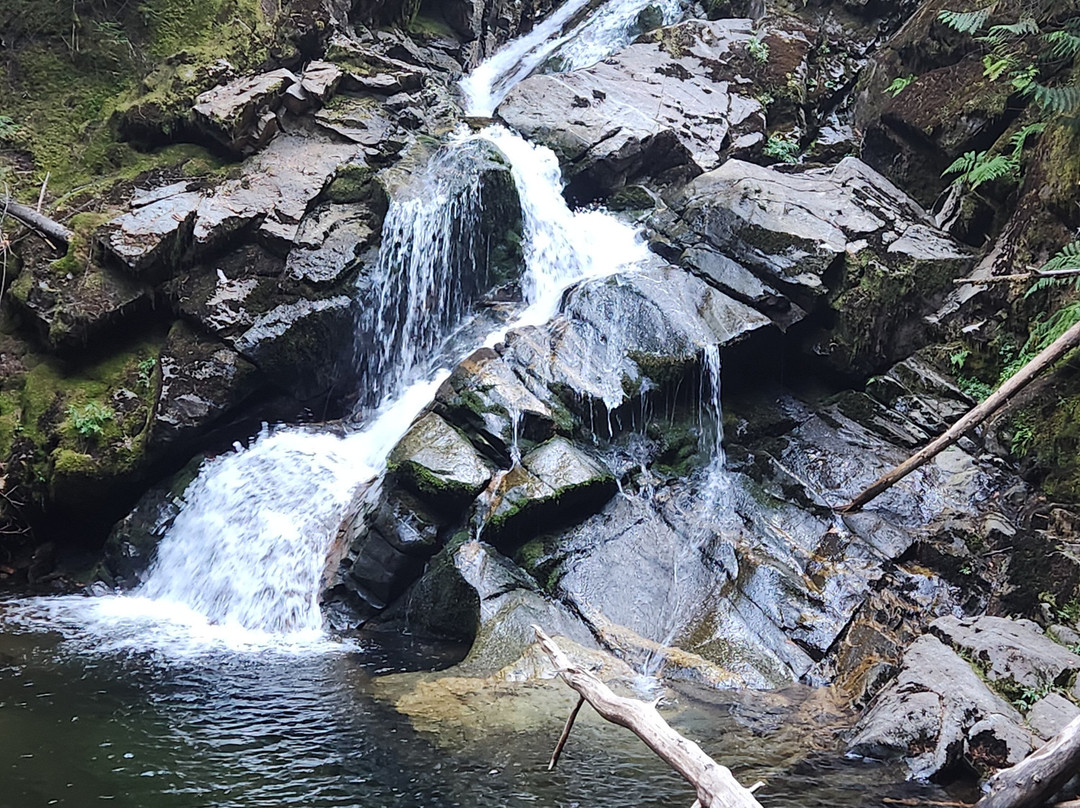 Northside School Bed and Breakfast主图
