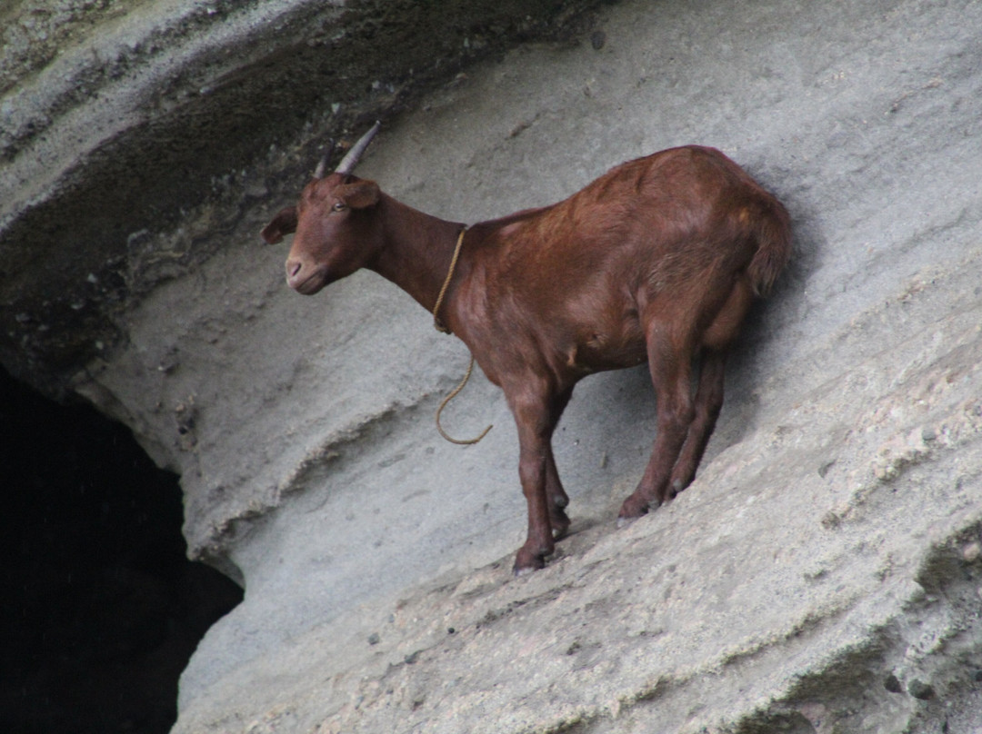Mount Matarem-Basco必去景点