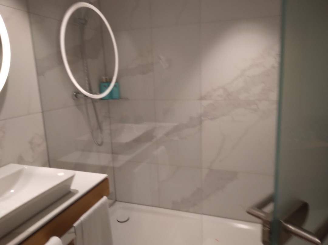 Novotel Karlsruhe City主图