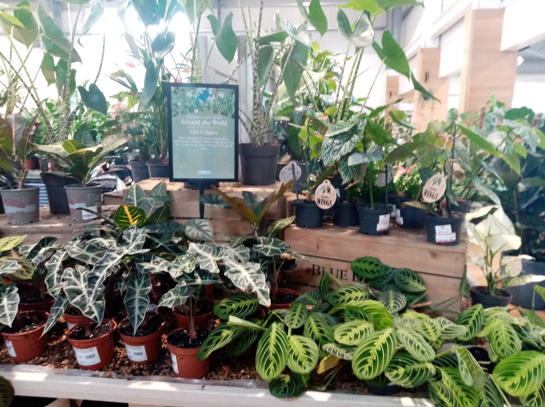 Blackdown Garden Centre,-惠灵顿必去景点