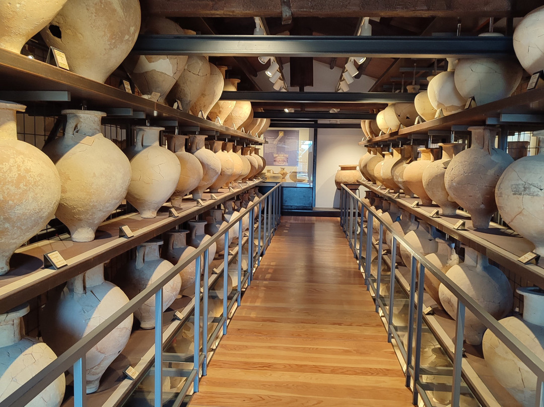 Museo Archeologico Nazionale Di Camarina-Scoglitti必去景点