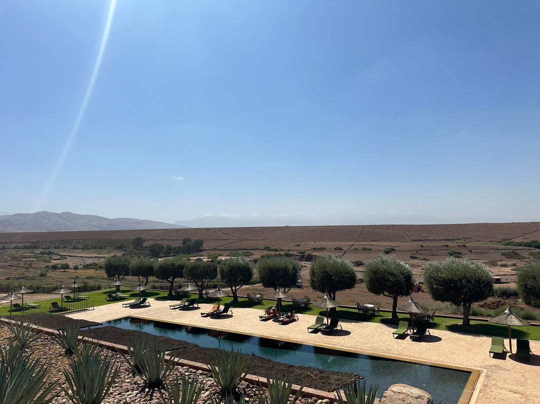 Le Palais Paysan主图