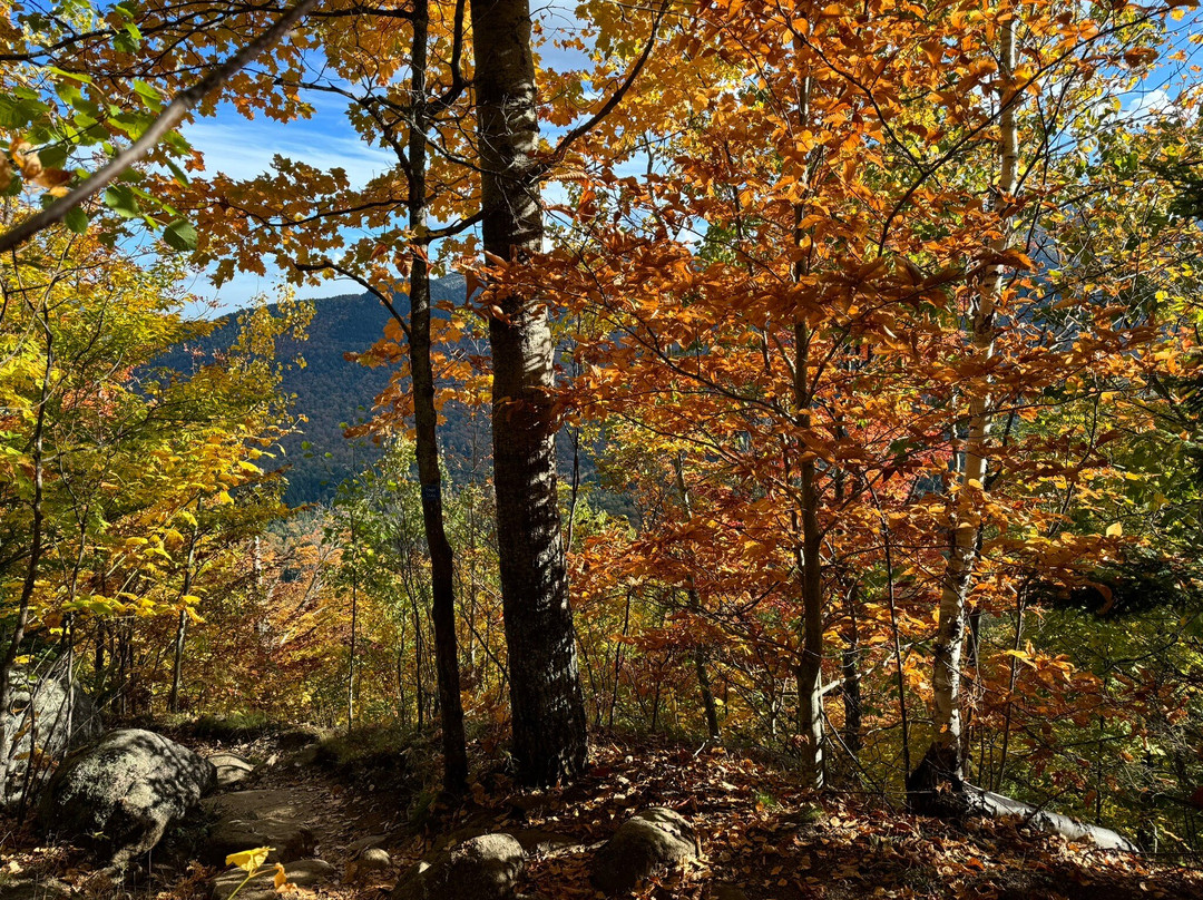 Trailhead by Weekender主图