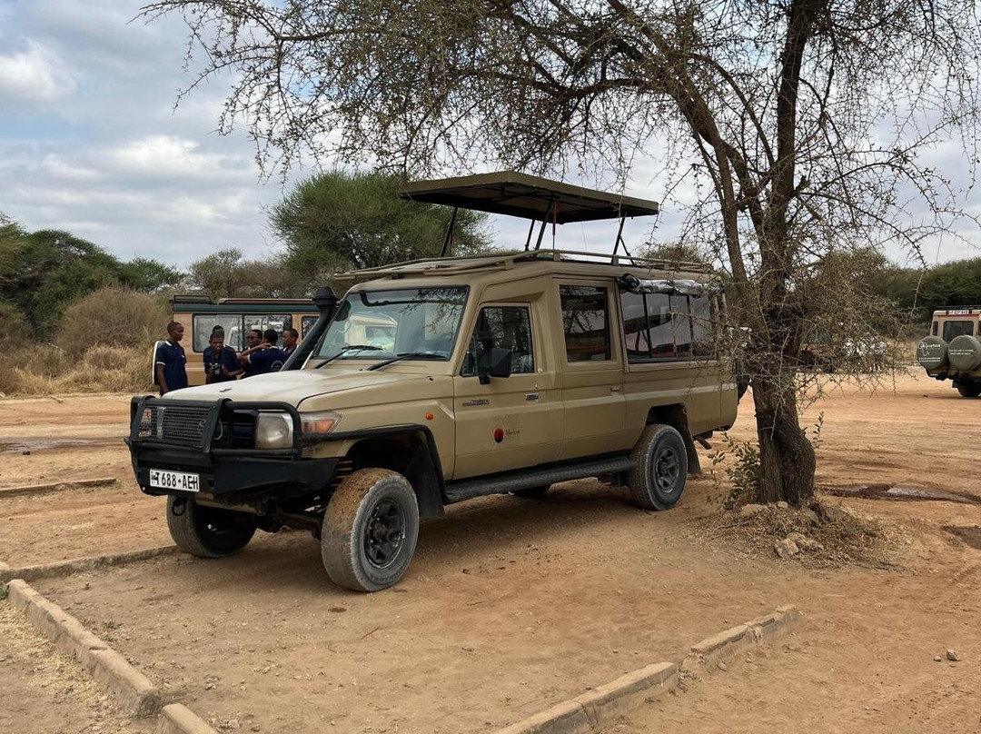 Alledom Safaris-阿鲁沙必去景点