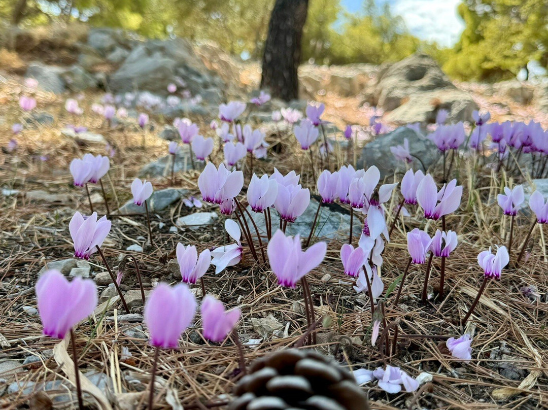 Ancient Town of Ermioni-Ermioni必去景点