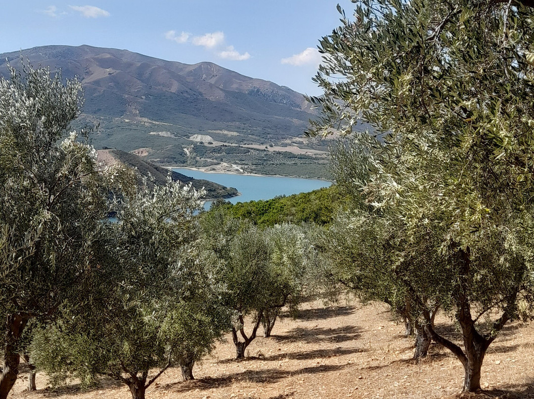 Ktíma Kotsífi-Amari必去景点