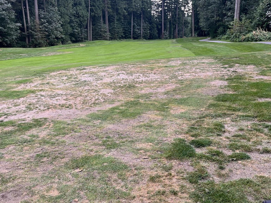 Sandpiper Golf Course-Harrison Mills必去景点