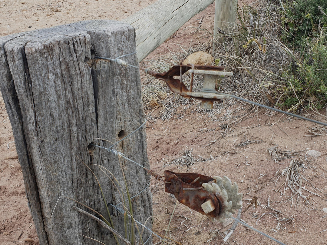 Basham Beach Conservation Park