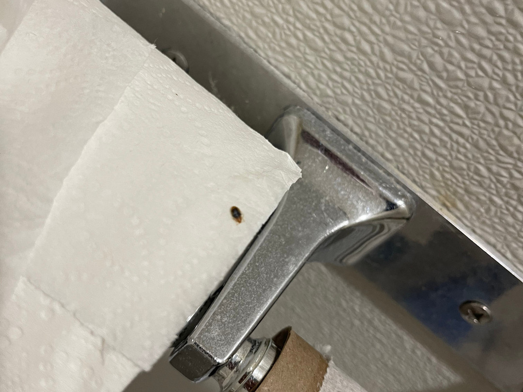 Comfort Inn Mount Shasta Area主图