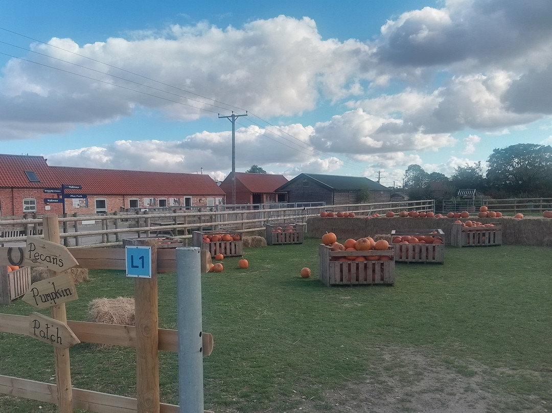 Bransby Horses-Bransby必去景点